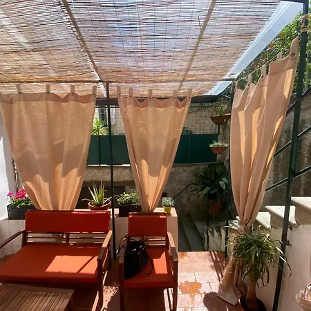Urban Garden *
