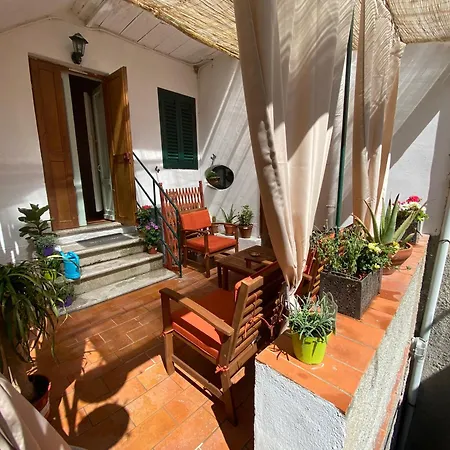Urban Garden *