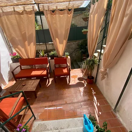 Urban Garden Apartment
