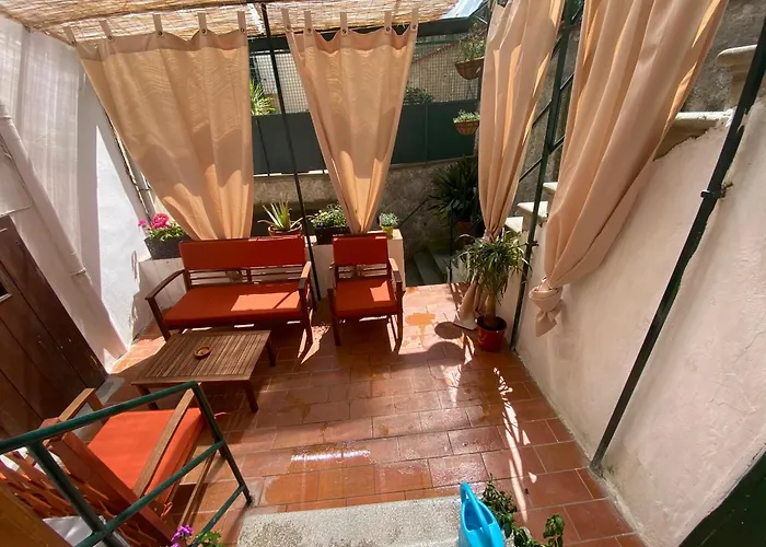 Urban Garden Apartment